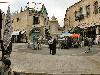 DSCN7416