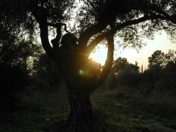 DSCN8064