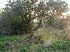 DSCN8060