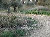 DSCN8061