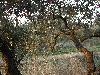 DSCN8067