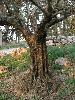 DSCN8077