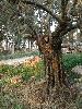 DSCN8078