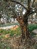 DSCN8078a