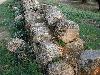 DSCN8079