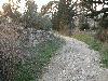 DSCN8084