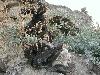 DSCN8119