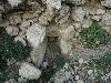 DSCN8141