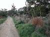 DSCN8144
