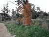 DSCN8145
