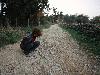 DSCN8147